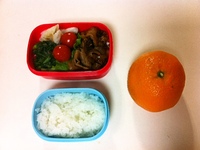 110224lunch.jpeg