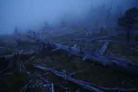 20090922_03b.jpg