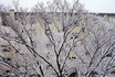20110211積雪.jpg
