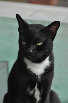 DSC_5034.JPG