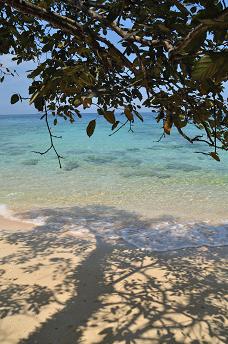 DSC_6432.JPG